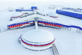 «Арктический трилистник» откроет новое направление в растениеводстве. Фото: wikimedia, mil.ru