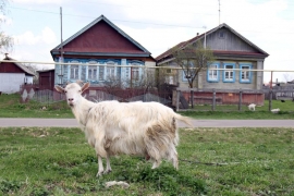 Село Хирино Шатковского района Нижегородской области