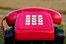 Фото: pixabay.com