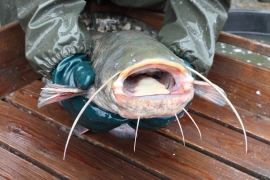 Фото: depositphotos.com