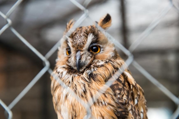 В зоопарке профилактория «Морозовский»