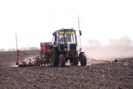 Автор фото: Александр Омельянчук