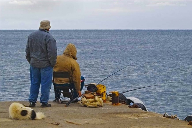Крым. Рыбалка