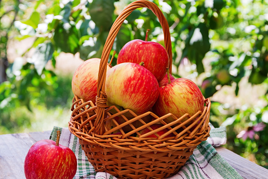 <a href="https://ru.freepik.com/free-photo/basket-of-ripe-red-apples-on-a-table-in-a-summer-garden_6963718.htm#query=%D0%AF%D0%B1%D0%BB%D0%BE%D1%87%D0%BD%D1%8B%D0%B9%20%D0%A1%D0%BF%D0%B0%D1%81&position=13&from_view=search&track=ais">Изображение от timolina</a> на Freepik