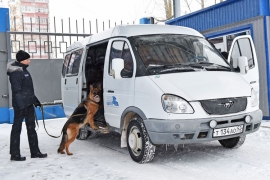 Четвероногий друг охраны