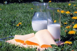 Фото: pixabay.com