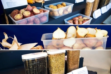 «СОЦИУМ-АГРО» провели презентацию и дегустацию своей продукции на Дне села Хирино – 2018