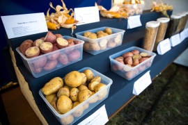 Продукция «СОЦИУМ-АГРО» на празднике в селе Хирино