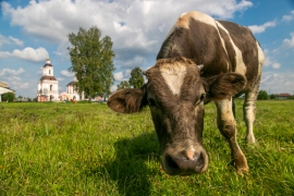 Село Хирино в августе 2019