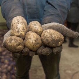 Автор фото: Александр Омельянчук