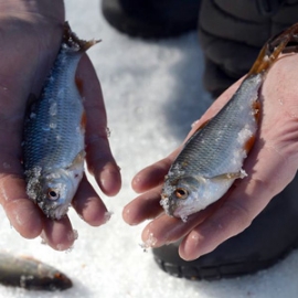 Профилакторий «Морозовский» расположен в 7 км от города Арзамас