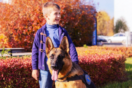 Фото: instagram.com/socium_fort