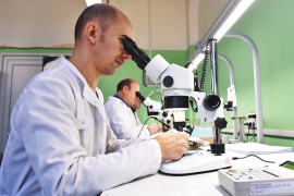 Фото Елены Галкиной