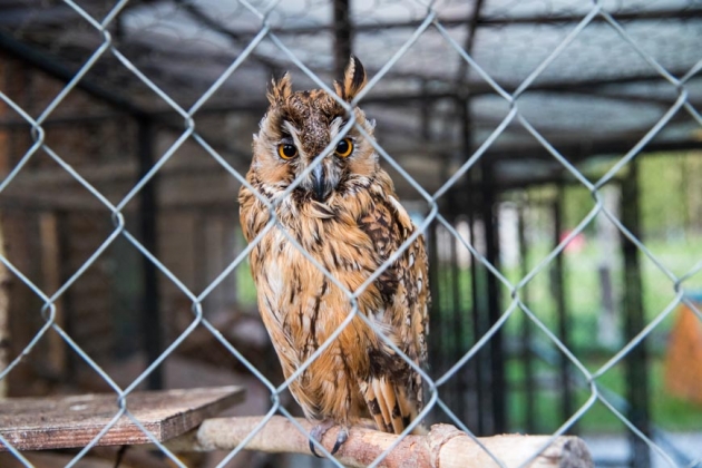 В зоопарке профилактория «Морозовский»