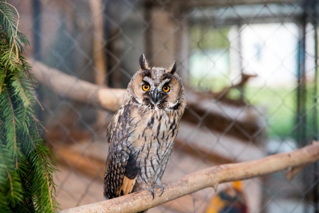 В зоопарке профилактория «Морозовский»