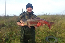 Владимир Злыдня