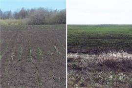 Поля села Хирино