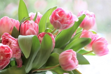 Фото: pixabay.com