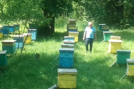 На пасеке «СОЦИУМ-АГРО» в селе Хирино