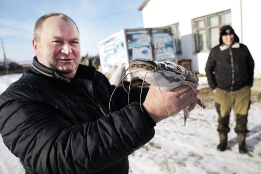 Гостям хиринские сомы понравились, они  и не предполагали, что в Нижегородской области водится такая рыба