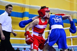 Первенство Приволжского федерального округа по боксу среди юниоров памяти Фёдора Бокарёва