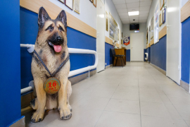 Офис ЧОП «ВПК-Безопасность»