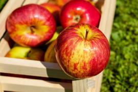 Изображение <a href="https://pixabay.com/ru/users/couleur-1195798/?utm_source=link-attribution&utm_medium=referral&utm_campaign=image&utm_content=1589874">Couleur</a> с сайта <a href="https://pixabay.com/ru/?utm_source=link-attribution&utm_medium=referral&utm_campaign=image&utm_content=1589874">Pixabay</a>