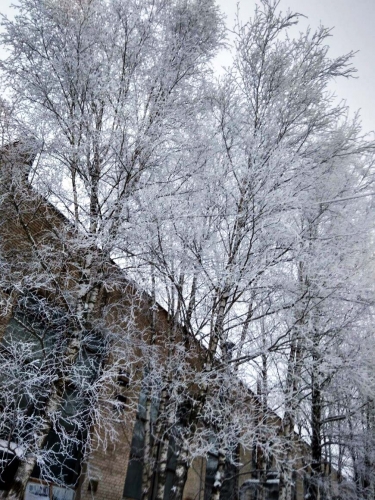Зима в городе. Фото Надежды Клеймёновой