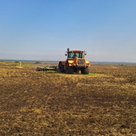 Автор фото: Денис Шмелёв