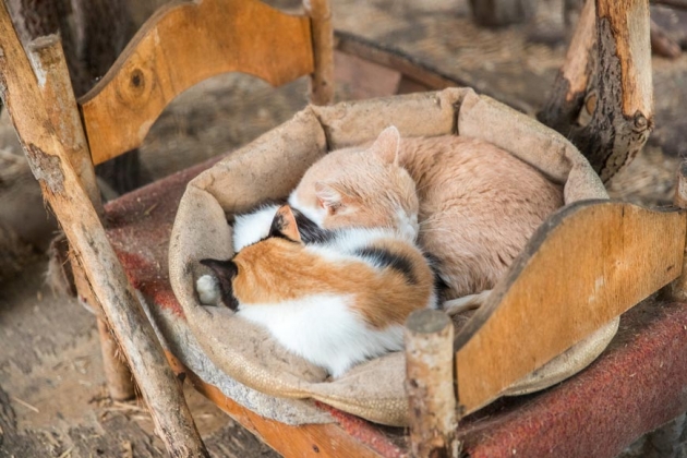 В зоопарке профилактория «Морозовский»