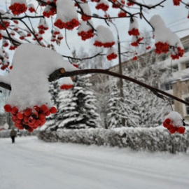 Приезжайте в профилакторий «Морозовский»!