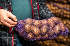 Картофель из Хирина