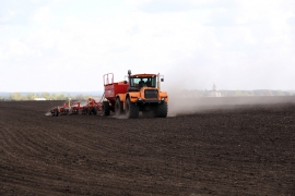 Сев яровой пшеницы