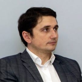 Владимир Городков