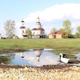 ООО «СОЦИУМ-Поселения» – молодая и развивающаяся компания, работающая в аграрном секторе экономики