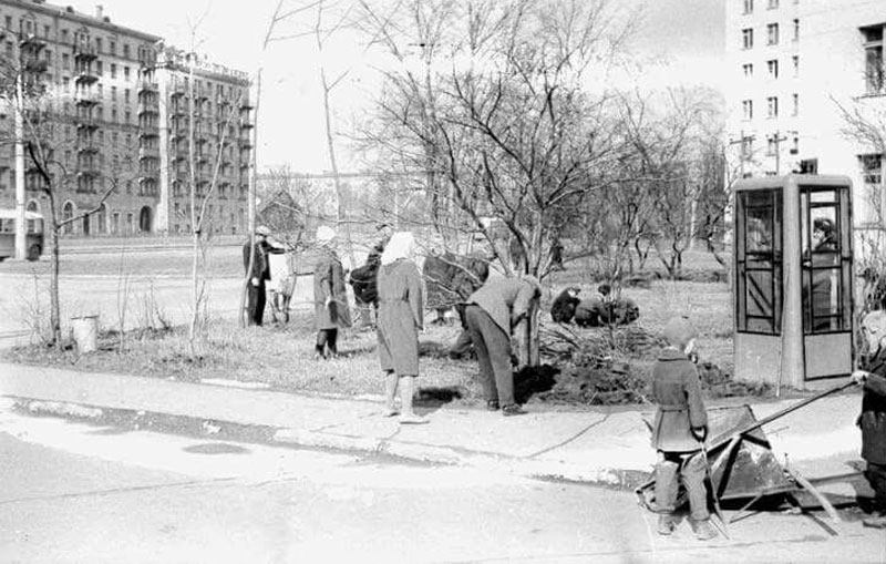 Субботник на улице Алабяна, Москва, 1964. Фото: pinterest.ru, Sergey Egorov