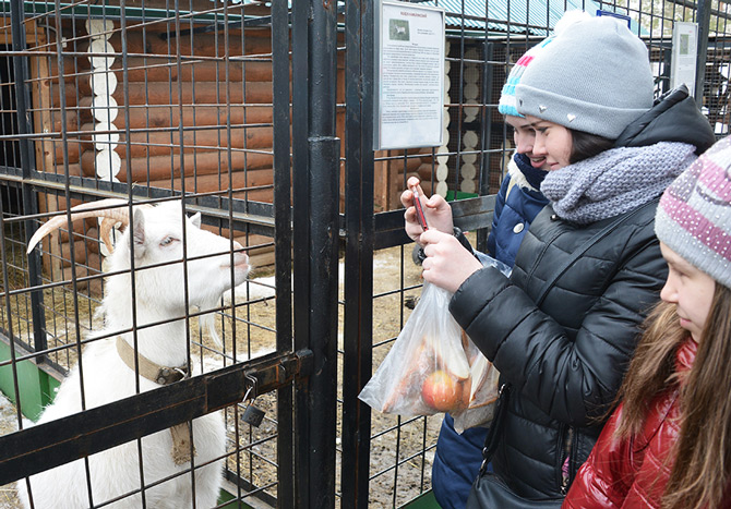 Пребывание ребят в «Морозовском» началось с посещения зоопарка