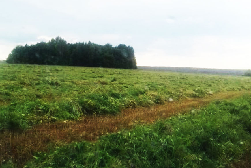 Поле скошенной на сено травы близ Архангельского и Хирина